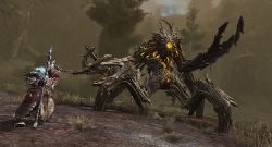 Guild Wars 2 Janthir Wilds Launch Feedback Community