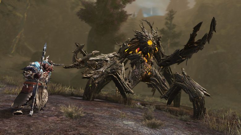 Guild Wars 2 Janthir Wilds Launch Feedback Community