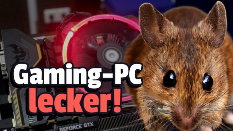 Tierischer Besuch im Gaming-PC: Entdeckung bringt Reddit zum Lachen, doch der Hardware droht Gefahr