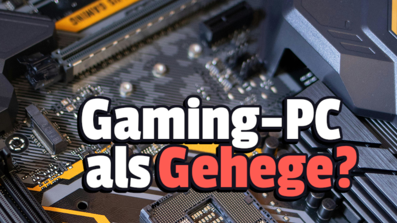 „Du hast einen PC verloren und einen Freund gewonnen“ – Tierischer Besuch im Gaming-PC sorgt für Gelächter auf Reddit