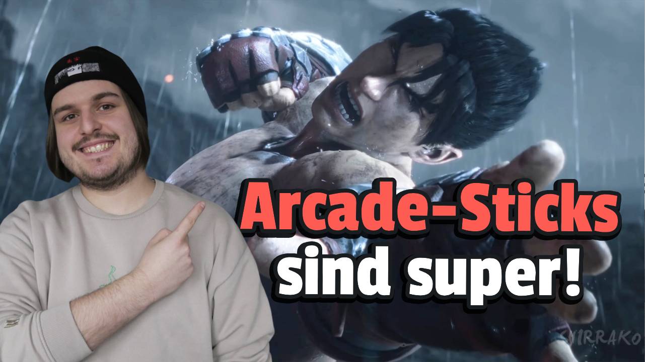 Ich habe mir vor einem Jahr einen Controller für Prügelspiele gekauft und jetzt kann ich nicht mehr ohne