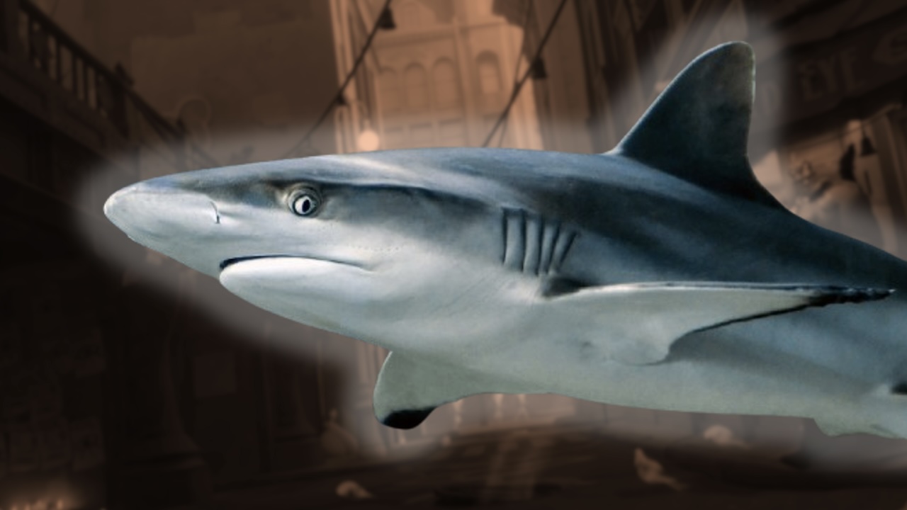 Steam: Der neue Held in Deadlock ist ein Hai-Mann, der an Gegnern knabbert