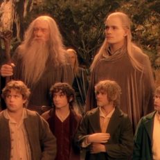 Die 9 Gefährten Powerranking