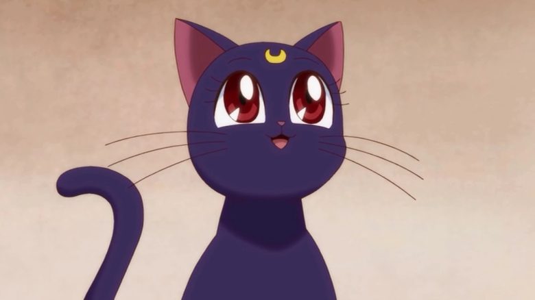 Sailor Moon Luna Katze Titel titel