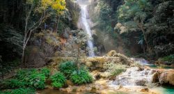 Titelbild Paradies Bild