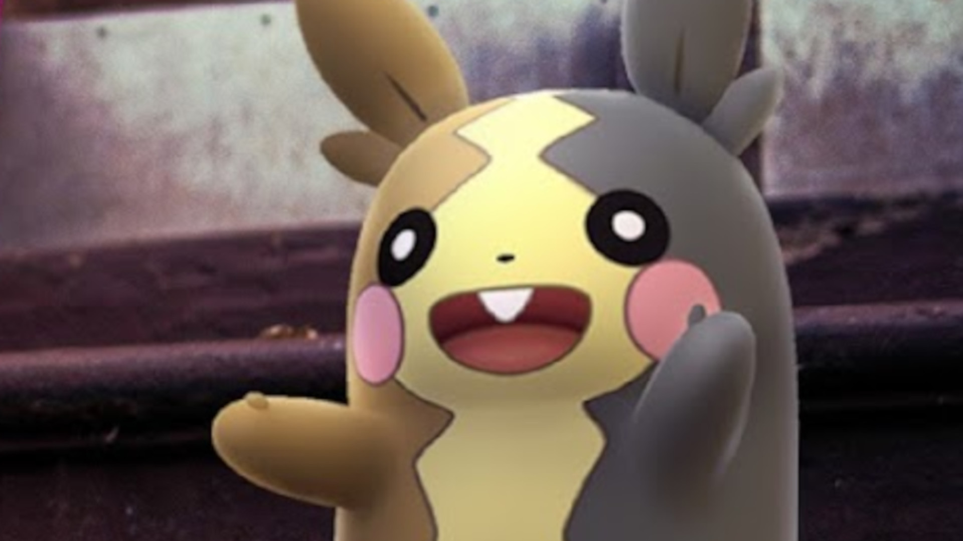 Pokémon GO: Fangt dringend Morpeko im Event, bevor es zu spät ist