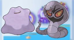 Pokémon TCG Pocket Arbok Ditto Titel title