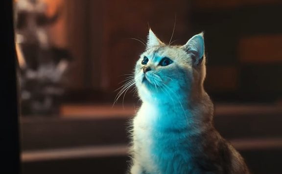 Screenshot aus einem Trailer zu World of Warcraft