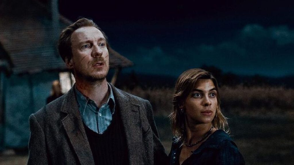 Harry Potter: Tonks und Lupin