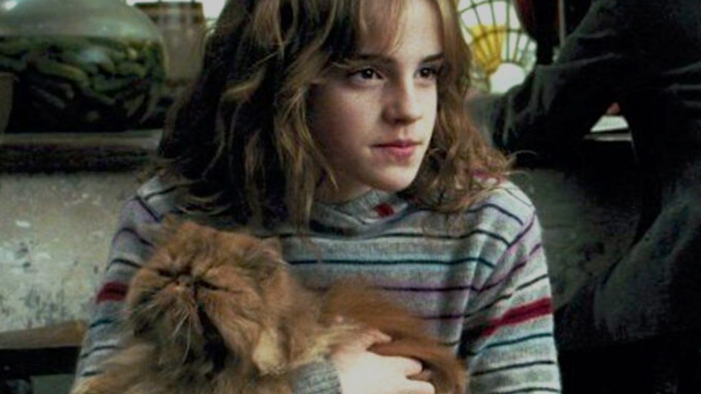 Harry Potter - Hermione and Krummbein