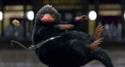 Harry Potter - Niffler