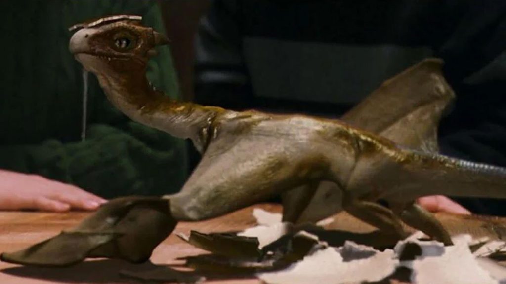 Harry Potter - Norbert