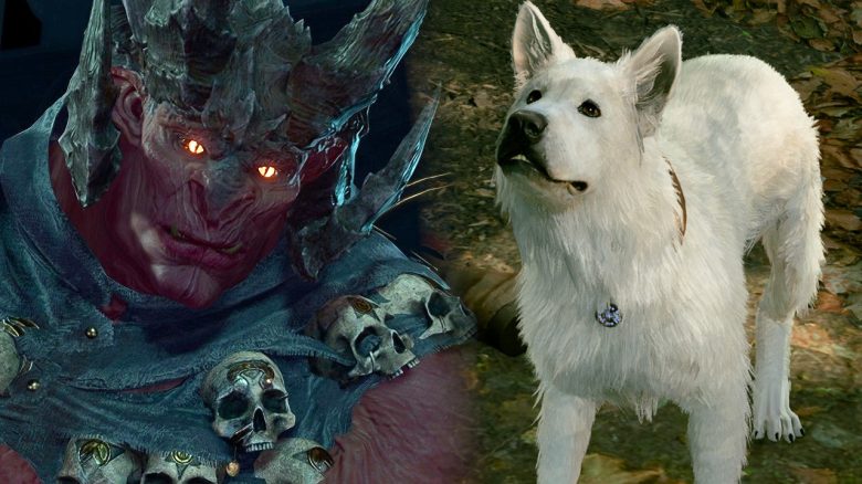 Baldur’s Gate 3: The best dog in the world can even negotiate with demons