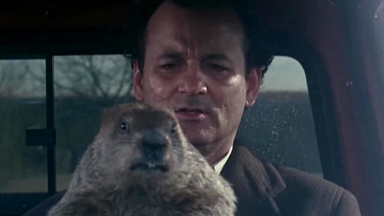 PETA wants to replace the famous weather groundhog from the movie with a vegan cake