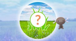 Pokemon GO Rampenlicht-Stunden Januar 2025 Paldea-Felino