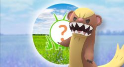 Pokémon GO Rampenlichtstunde Mangunior