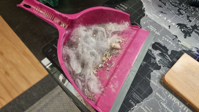 Why I urgently recommend every gamer with pets to clean their gaming PC every 6 weeks