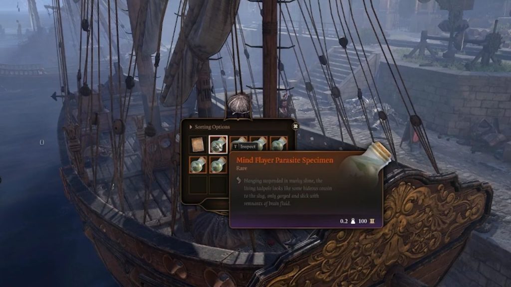 Ship with the larvae in BG3