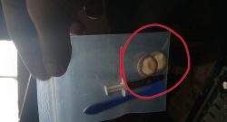 Titelbild Fingerlinge Wärmeleitpaste rot Reddit