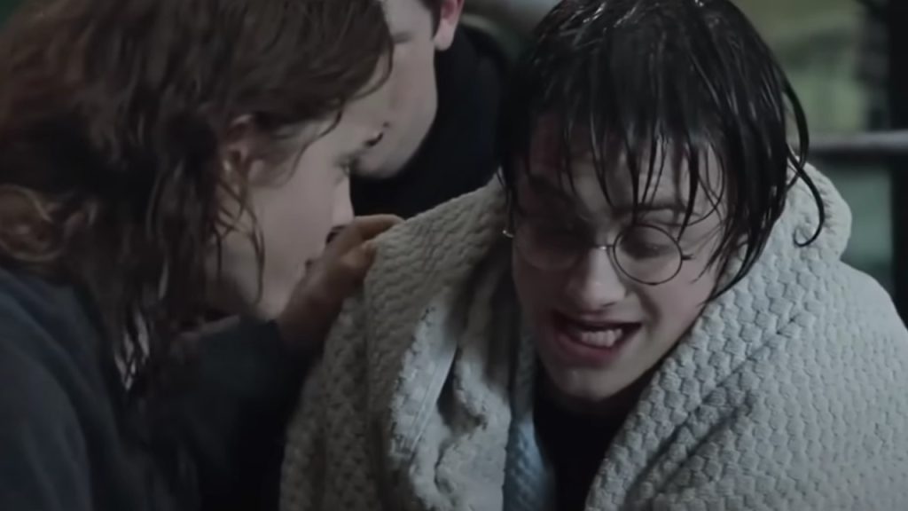 Harry Potter film mistake towel