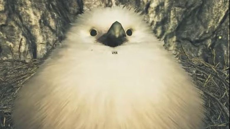 Jäger in Monster Hunter Wilds verehren einen versteckten Vogel, der Geschenke verteilt