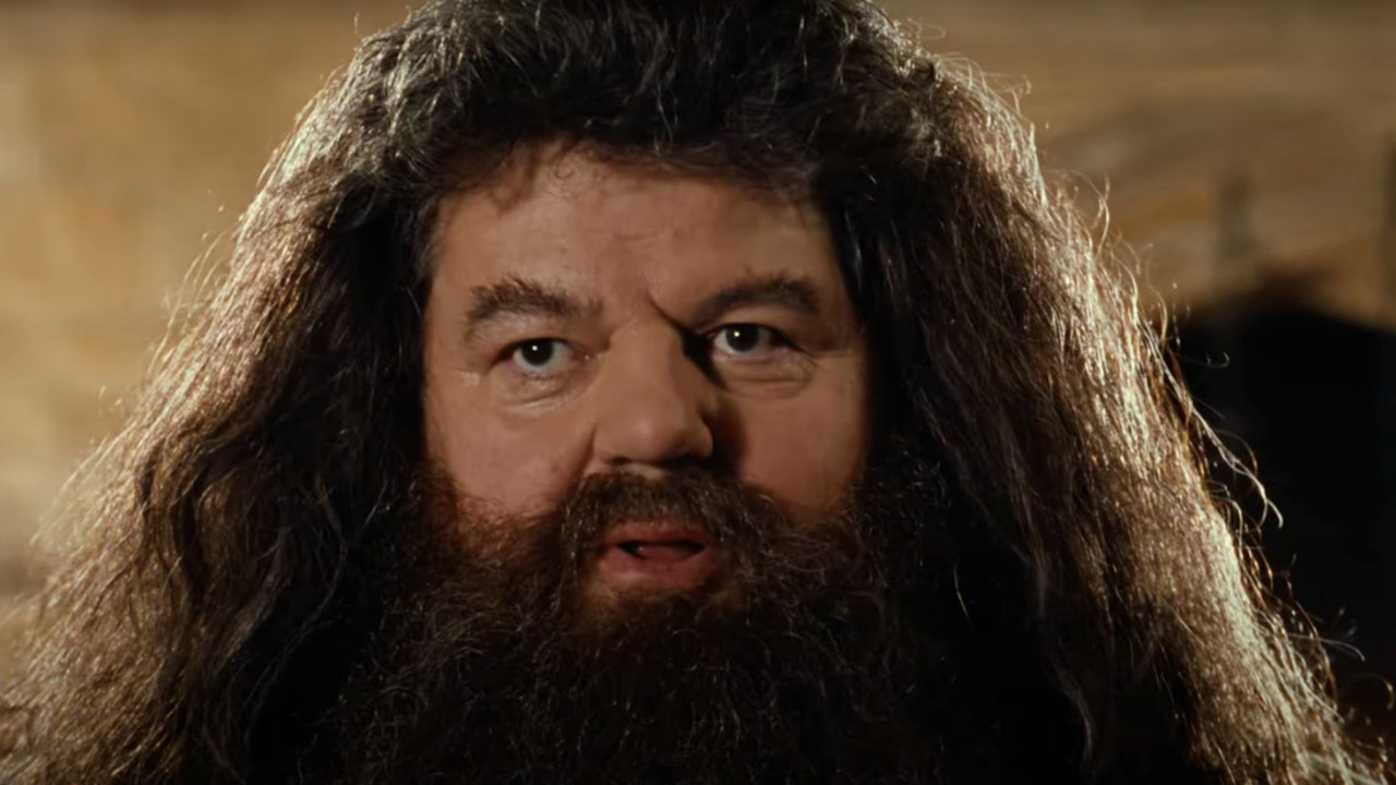 In Harry Potter 1 wurde Voldemort nur besiegt, weil ein schusseliger Charakter seine Klappe nicht halten konnte