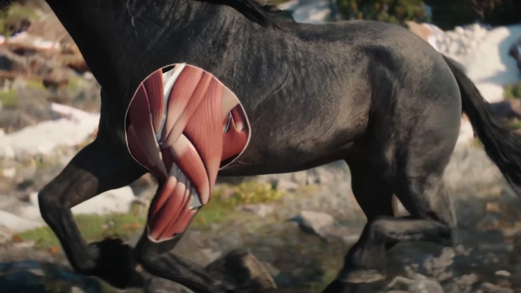 The Witcher 4 Kelpie muscles