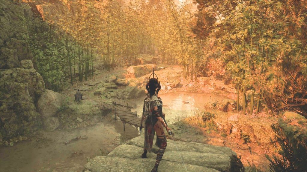 Sun-drenched bamboo forest in WUCHANG