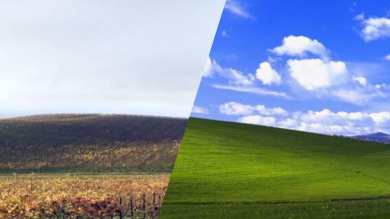 The most famous background of Windows XP is a meadow: But 29 years later it looks completely different in reality