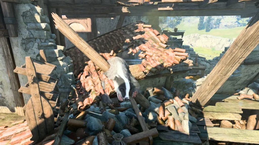 Dachs in Trümmern in BG3