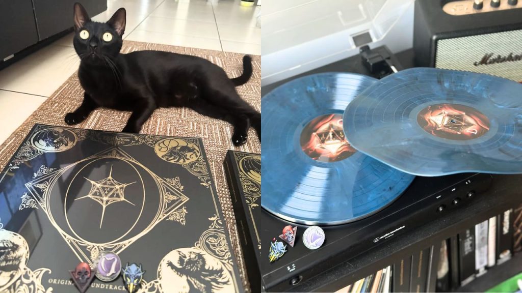 Katze und Schallplatten (Naoness)