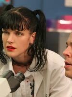 Navy CIS hat seine Romanzen, aber nicht alle haben Happy Ends oder sind bekannt – Das sind die Top 5