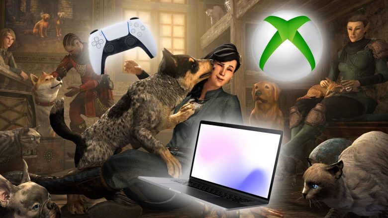 One of the largest MMORPGs for PC and consoles is set to receive crossplay and bring all players in Europe together