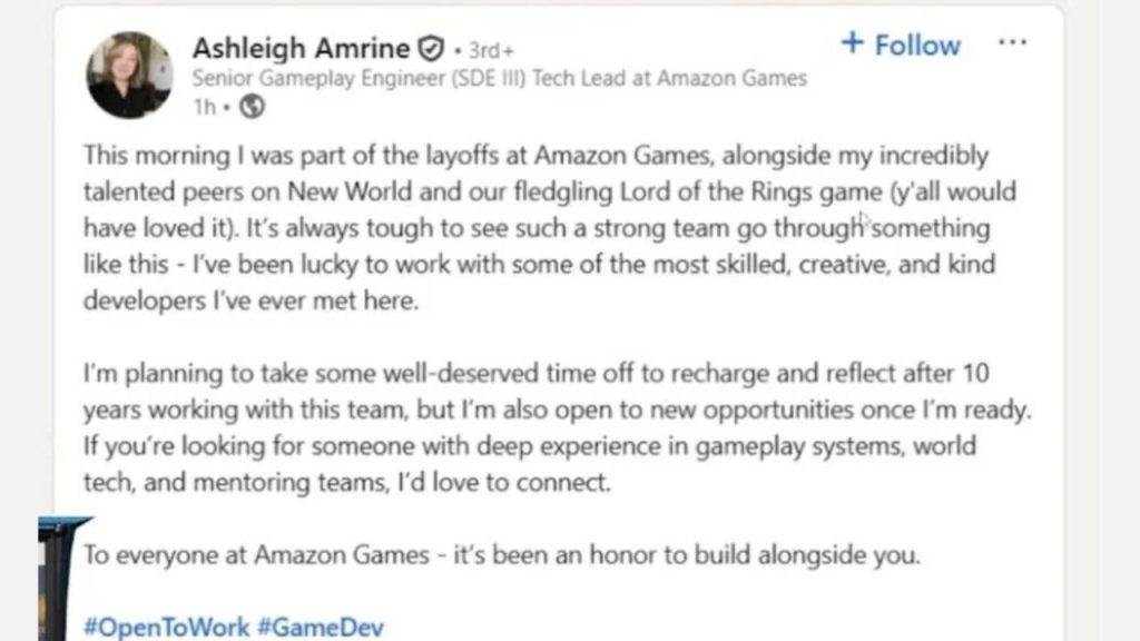 Ashleigh Amrine Layoff Post LinkedIn