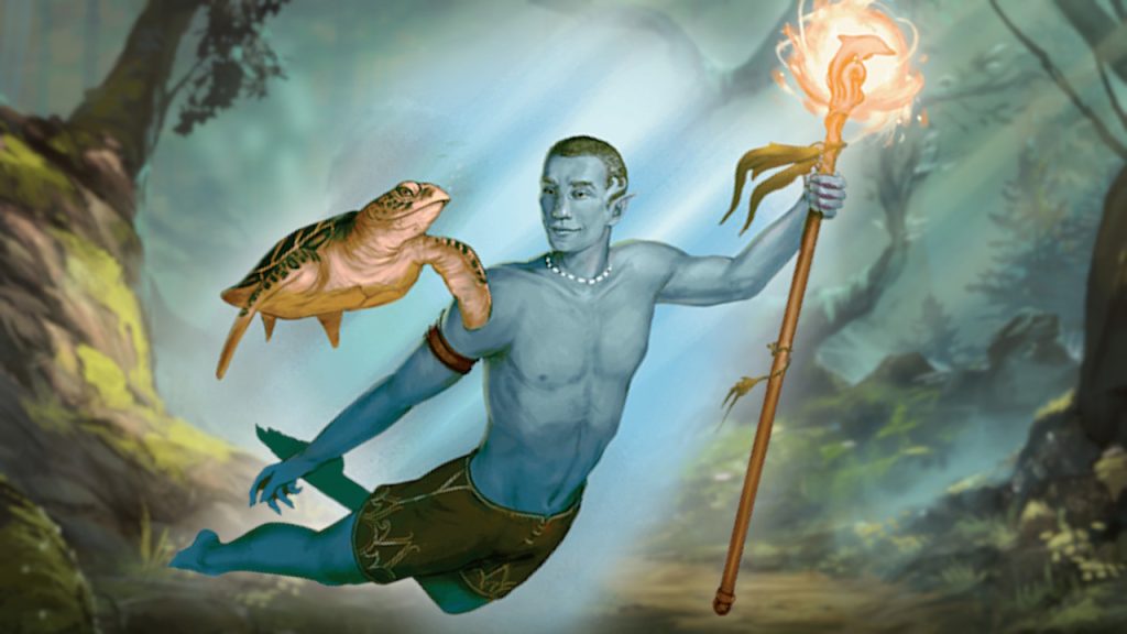 Dungeons & Dragons Meerelf