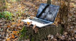 Laptop im Wald