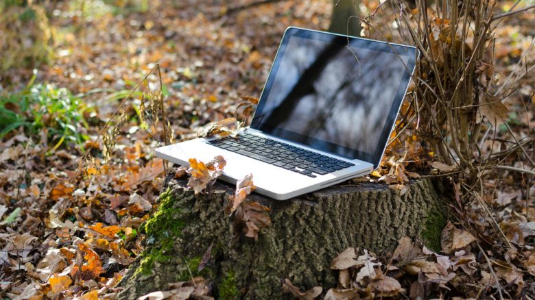 Laptop im Wald