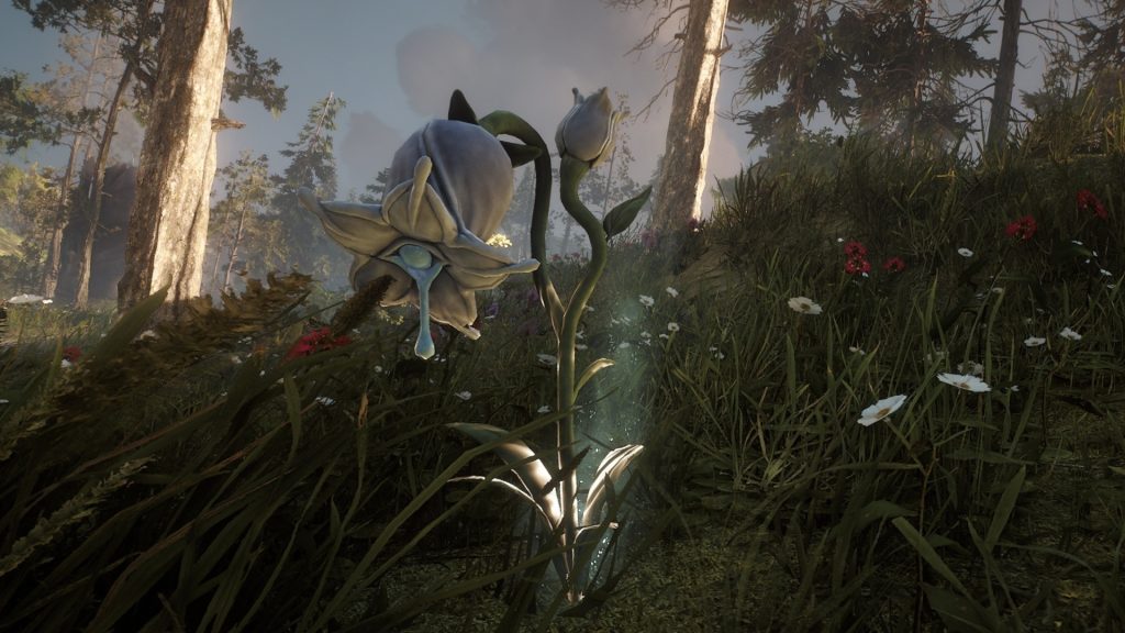 Soulframe: Graphical detail level