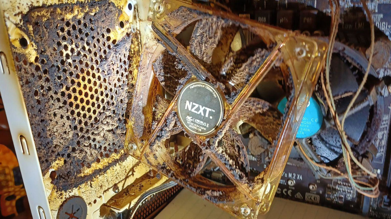 A user shows an employee’s computer and the appearance shocks even the hardest gamers in the community