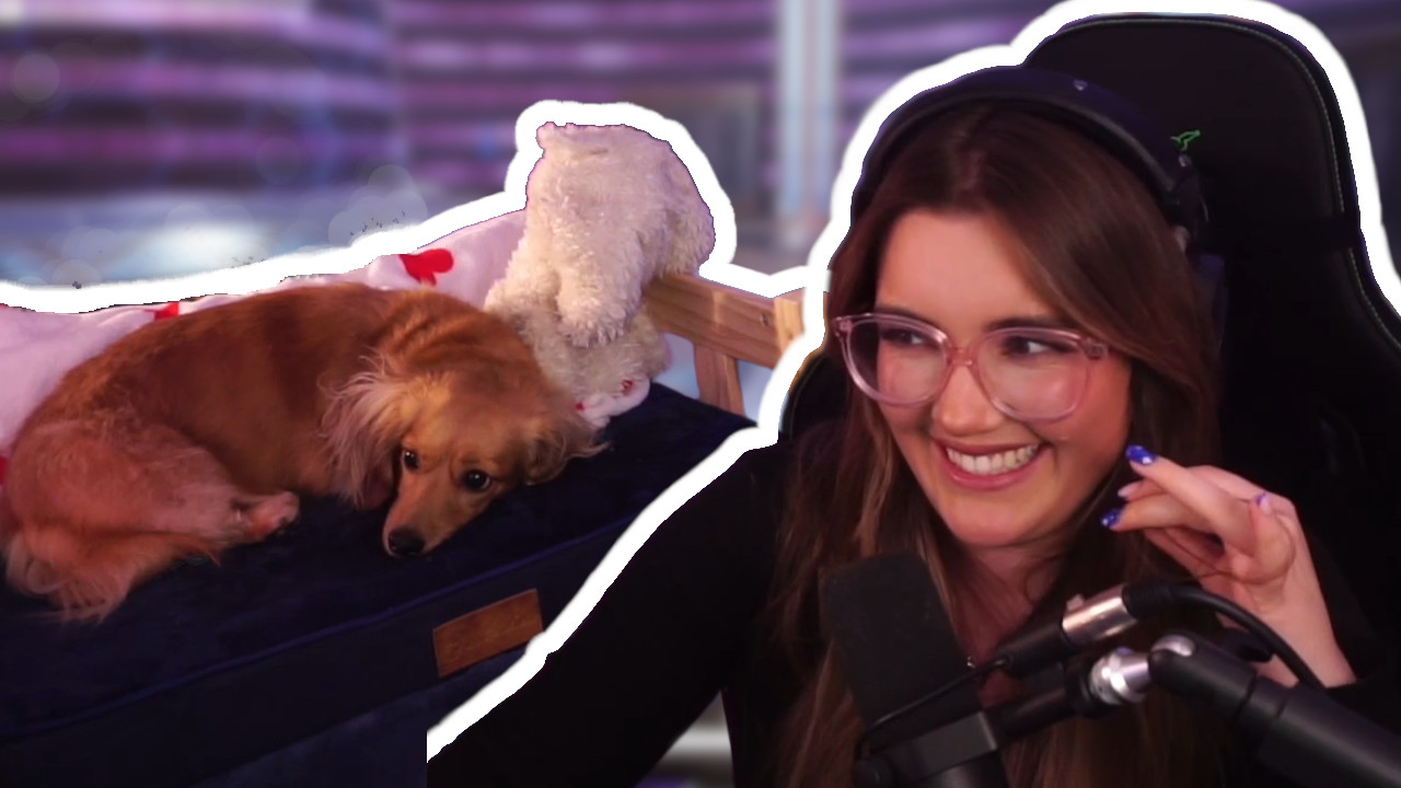 Twitch-Streamerin sucht sich eine ganz besondere Mitspielerin für einen Shooter – ihre Hündin