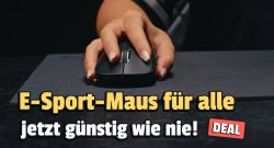 maus deal 291125