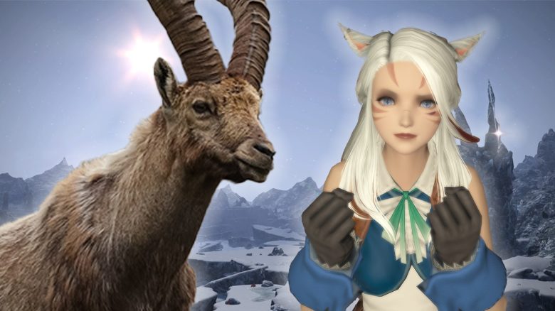 Final Fantasy XIV Level 1 Mob ohne Name Titelbild