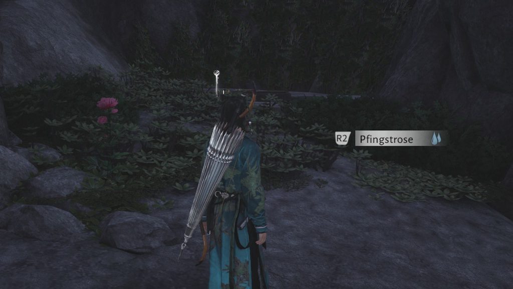 Where Winds Meet Cries in the Distance cave entrance