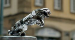 Titelbild Jaguar Auto Symbol