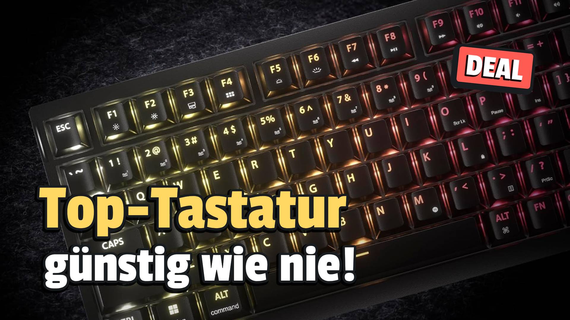 Eine fast perfekte Gaming-Tastatur zum Tiefpreis: Sie ist klein, aber oho und jetzt günstig wie nie!