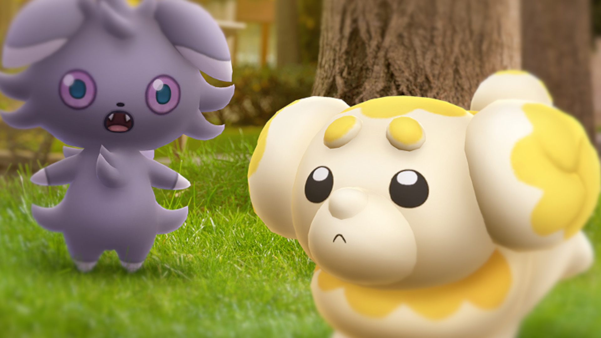 Pokemon GO Klasse Kumpel