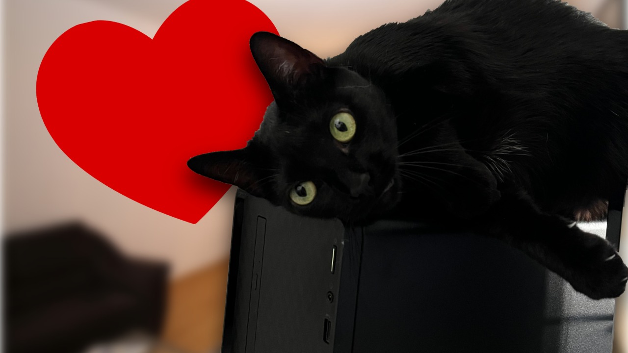 Die Katze eines Nutzers belagert seinen Gaming-PC so hartnäckig, dass er ihn umbauen muss