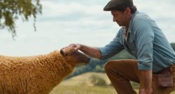 The Sheep Detective Trailer Hugh Jackman und ein Schaf