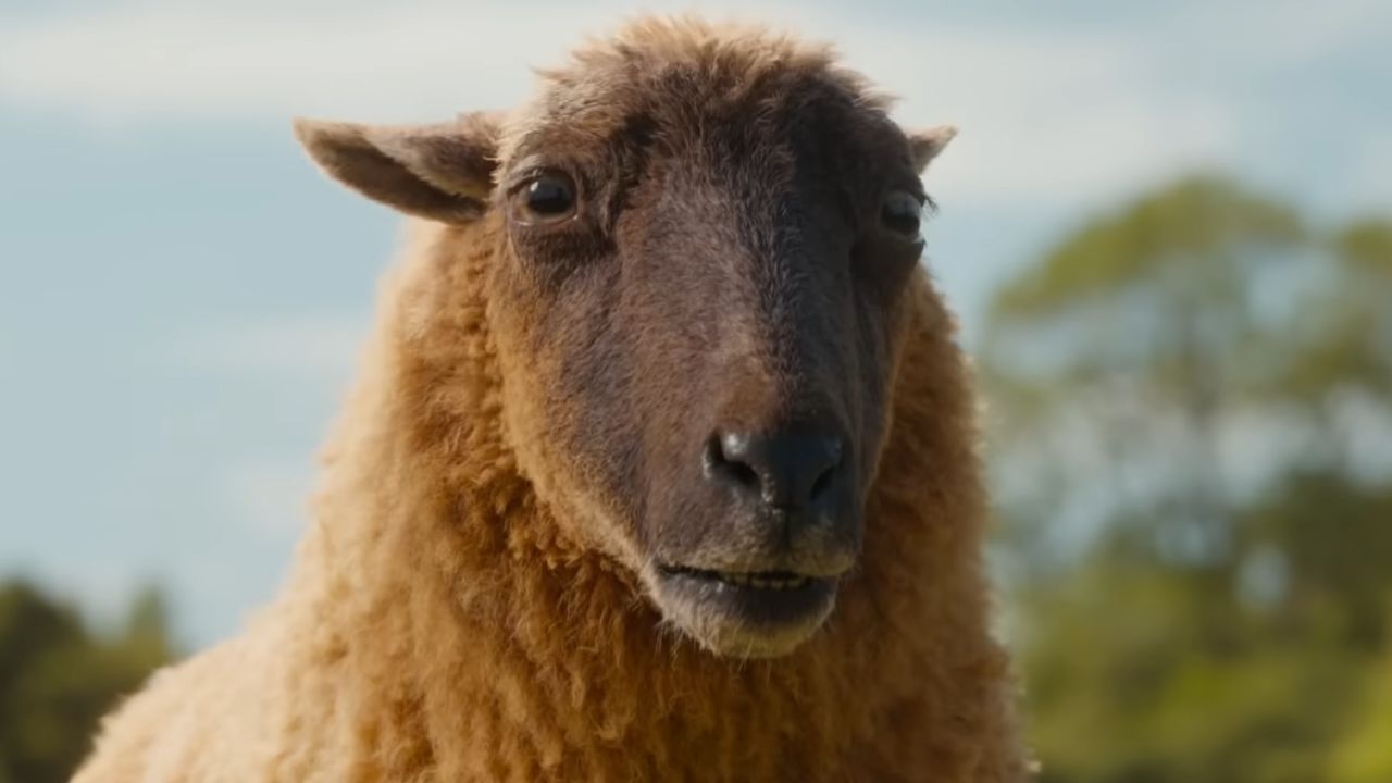 Vor 163 Jahren sagte ein Schafzüchter die Gefahren durch KI voraus, legte den Grundstein für moderne Science-Fiction