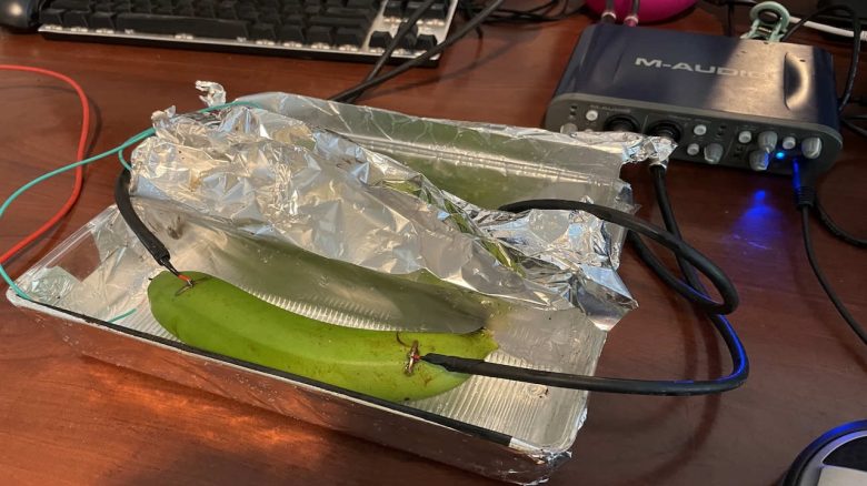 Wenn du kein passendes Kupferkabel für deine Sound-Anlage hast, kein Problem: Eine Banane tut’s auch